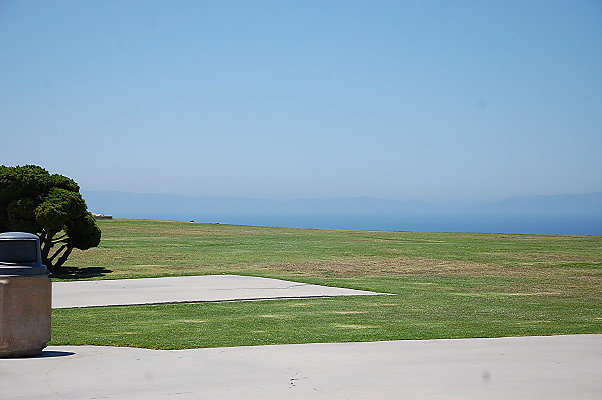 DSC 0008