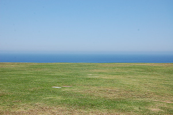 DSC 0017