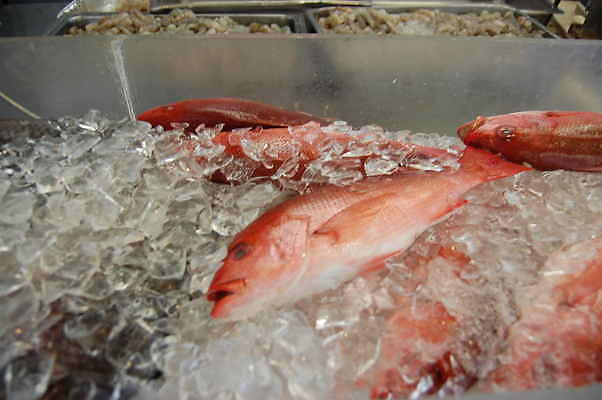 Fish.Village.San.Pedro.15