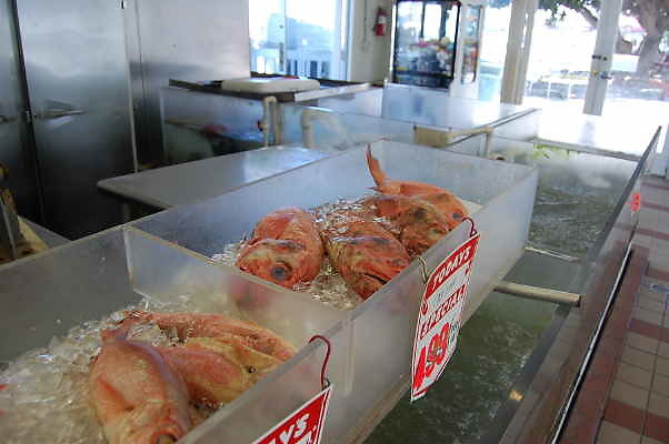 Fish.Village.San.Pedro.16