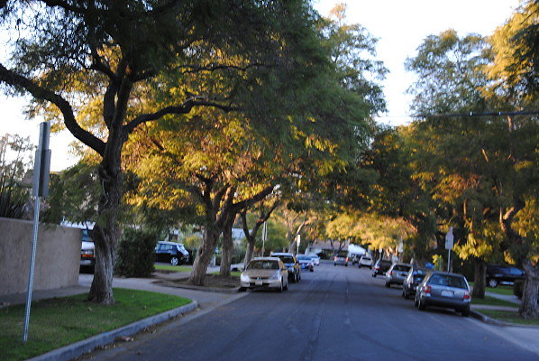 DSC 0330