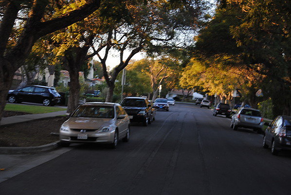 DSC 0331