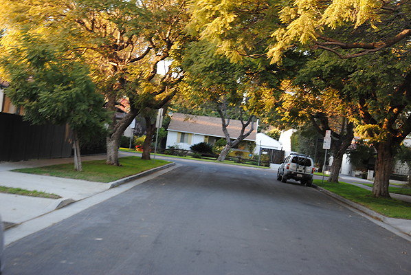 DSC 0334