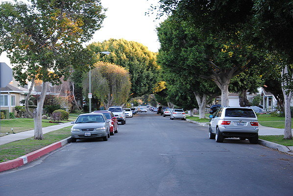 DSC 0373