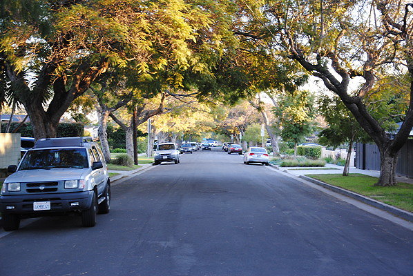 DSC 0367