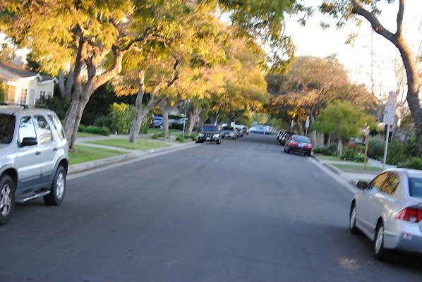 DSC 0368
