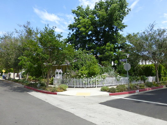 P1140754
