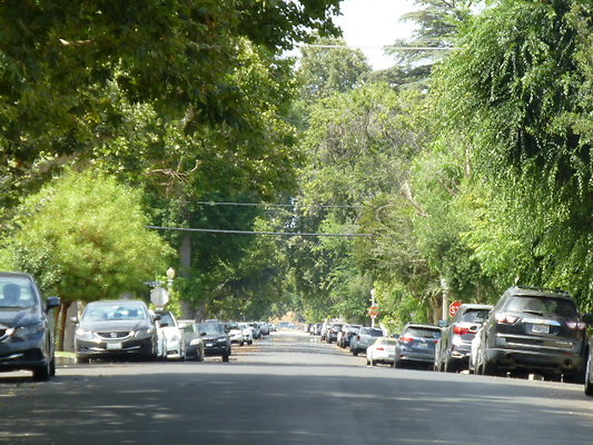 P1140771