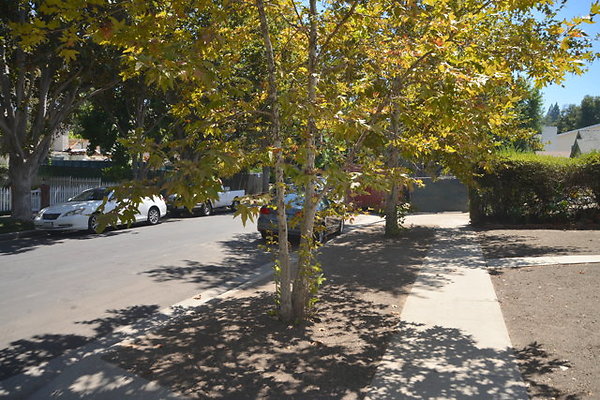 DSC 7821