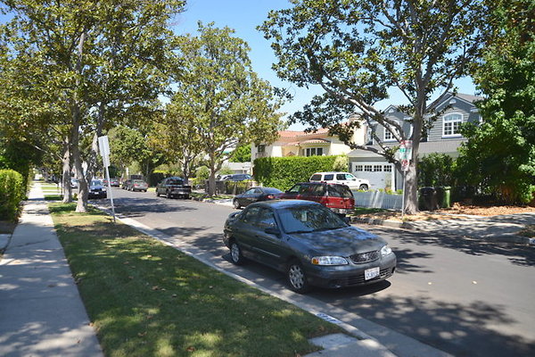 DSC 7819