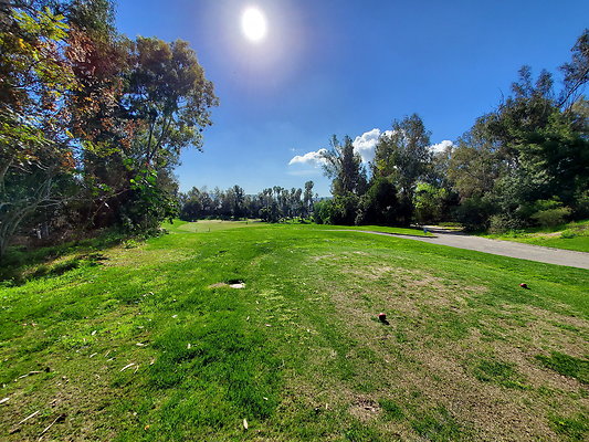 Pacific Palms CC.099