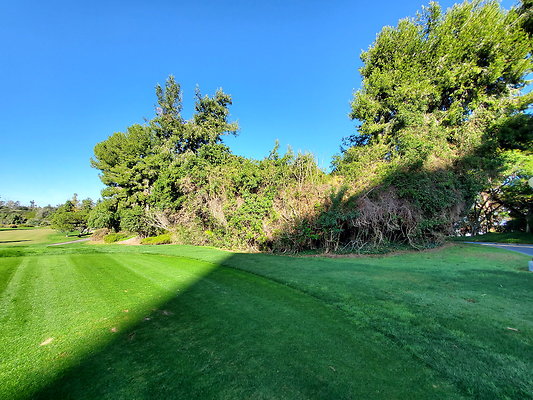 Pacific Palms CC.010