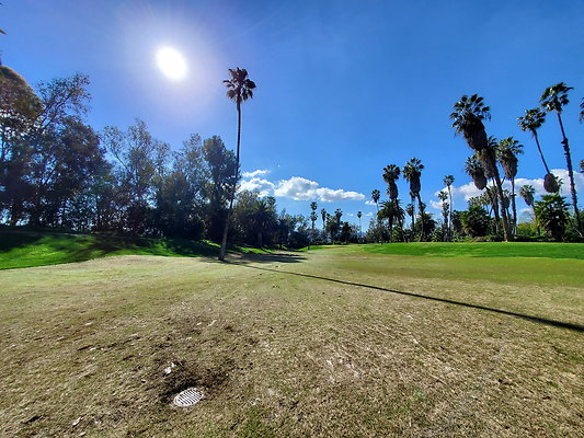 Pacific Palms CC.111