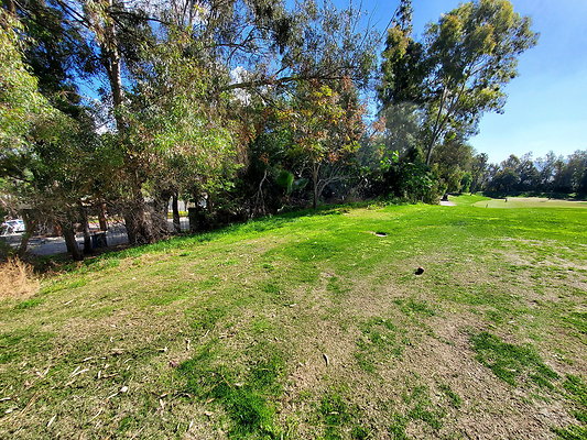 Pacific Palms CC.095