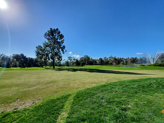 Pacific Palms CC.018