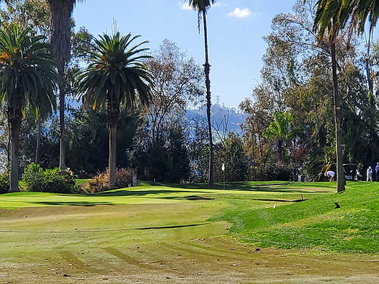 Pacific Palms CC.115