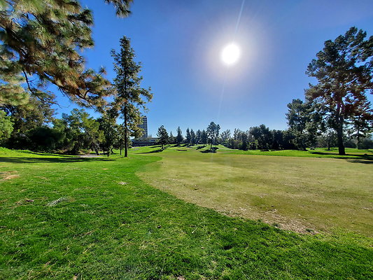Pacific Palms CC.017