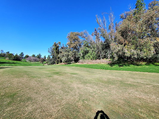 Pacific Palms CC.056