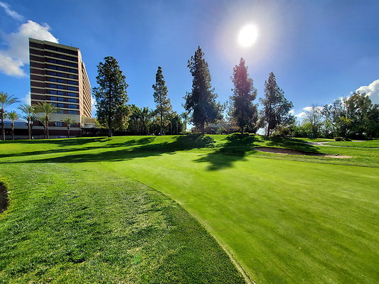 Pacific Palms CC.078