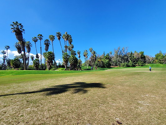 Pacific Palms CC.107