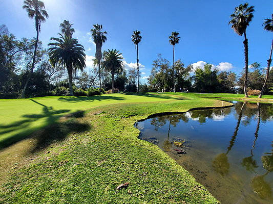 Pacific Palms CC.119