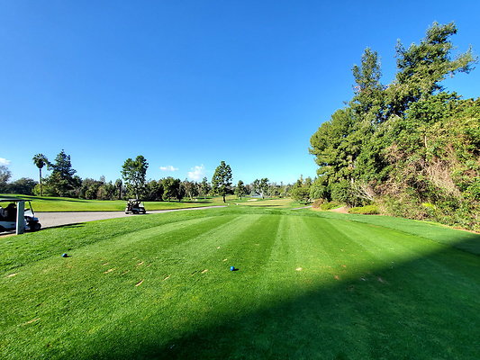 Pacific Palms CC.009