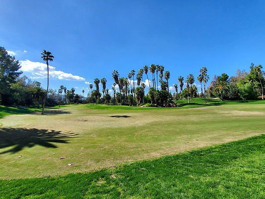Pacific Palms CC.105