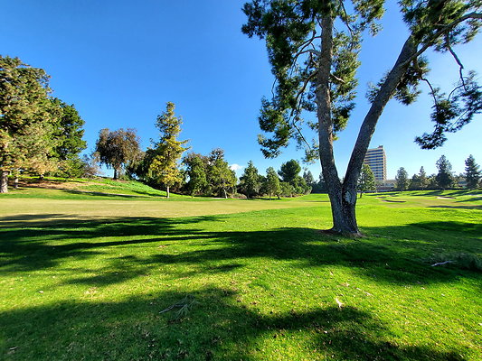 Pacific Palms CC.028