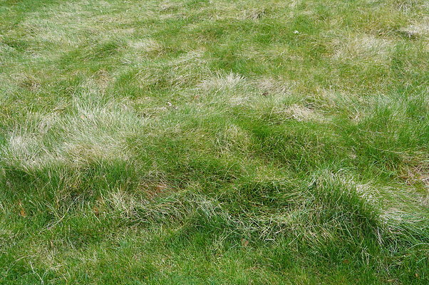 Sherwood.CC.Hole 10.031