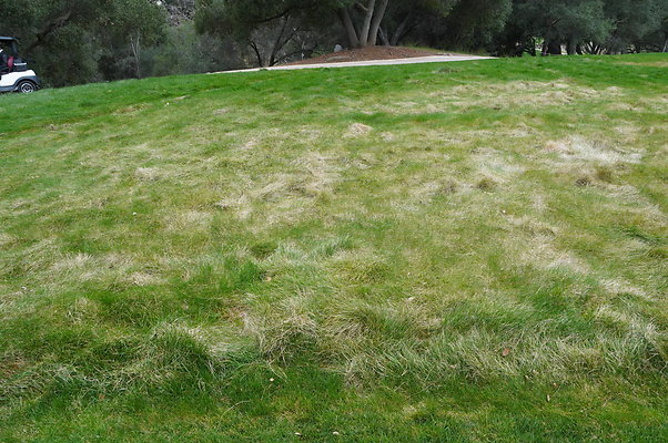 Sherwood.CC.Hole 10.032