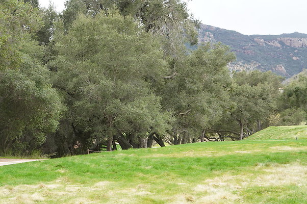 Sherwood.CC.Hole 10.019