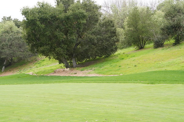 Sherwood.CC.Hole 10.045