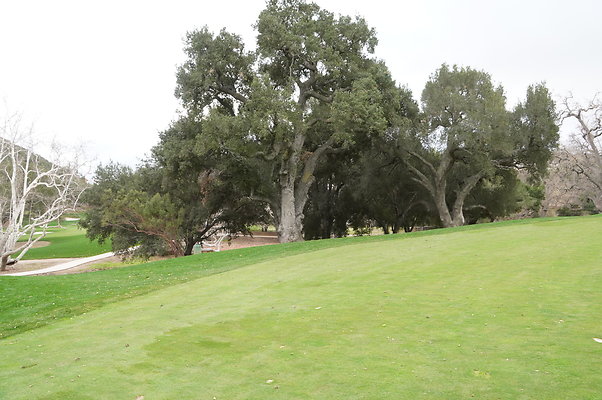 Sherwood.CC.Hole 10.040