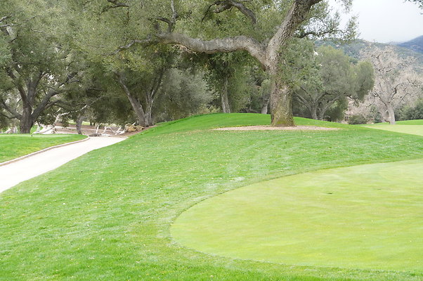 Sherwood.CC.Hole 10.058