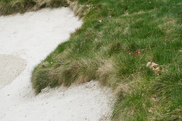 Sherwood.CC.Hole 10.054