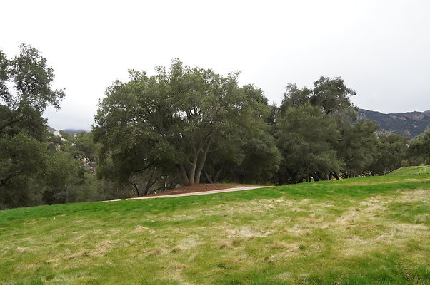 Sherwood.CC.Hole 10.016