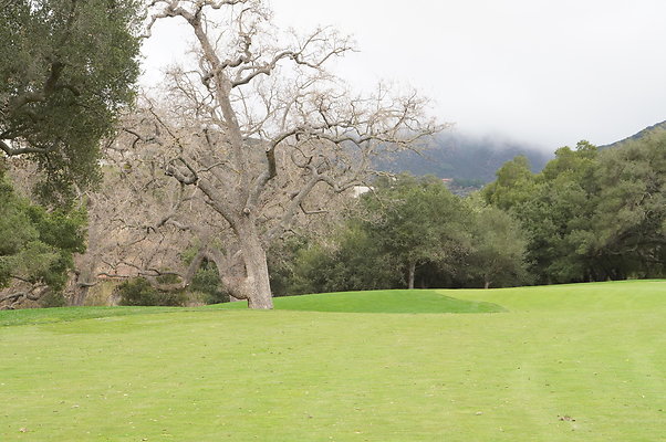 Sherwood.CC.Hole 10.043