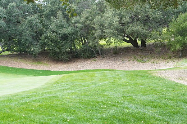 Sherwood.CC.Hole 10.060