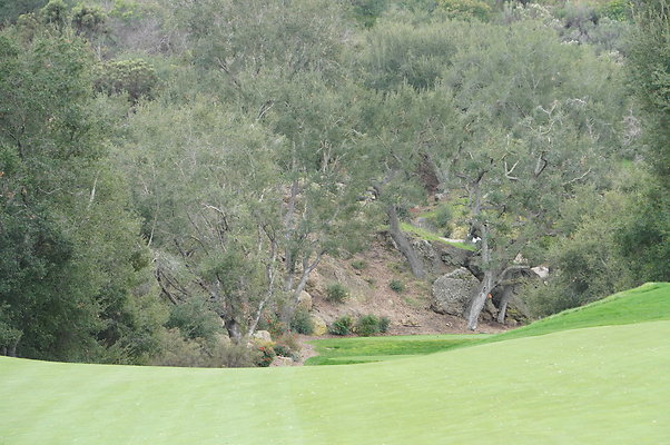 Sherwood.CC.Hole 18.029