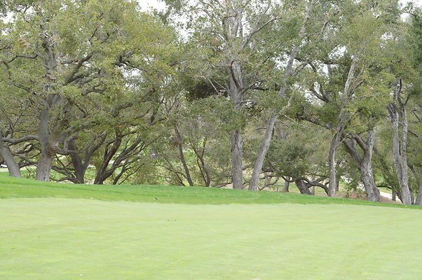 Sherwood.CC.Hole 18.033