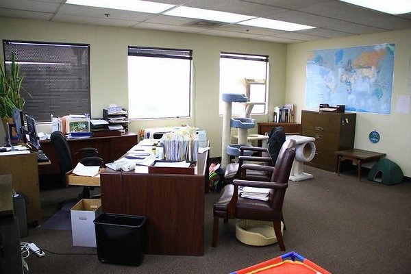 UNIVERSAL-8794-CARSON-20