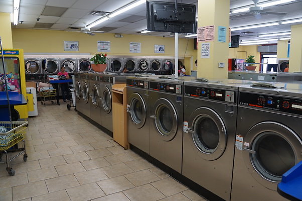 Alvardo.Wash.17