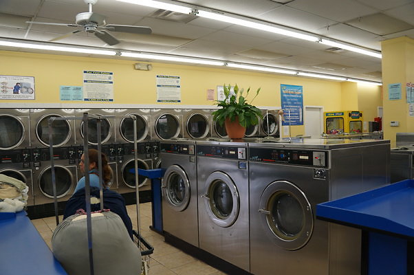 Alvardo.Wash.08