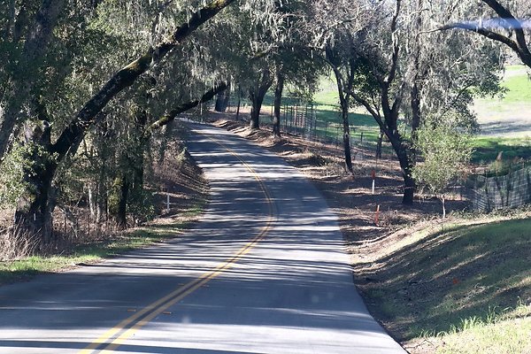 VINEYARD DRIVE