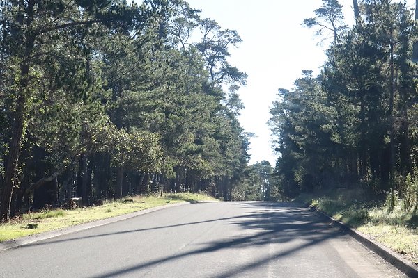 CAMBRIA PINES RD