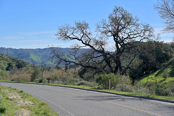 NEAR BIG SKY - LOST CYN FROM TAPO TO LEGEND - SCOUTED