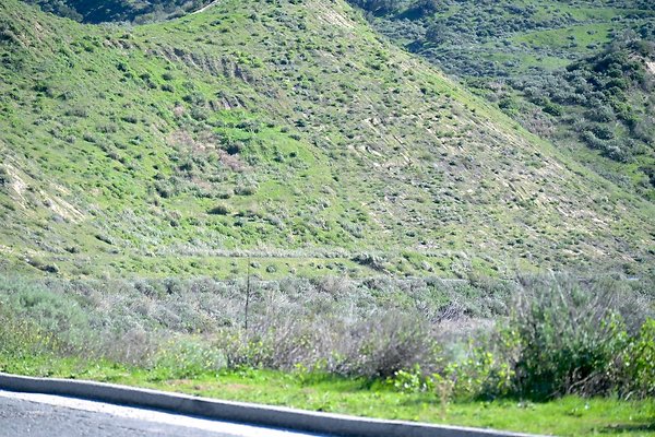 NEAR BIG SKY - LOST CYN.TAPO-LEGEND.24 NEAR BIG SKY - LOST CYN.TAPO-LEGEND.24