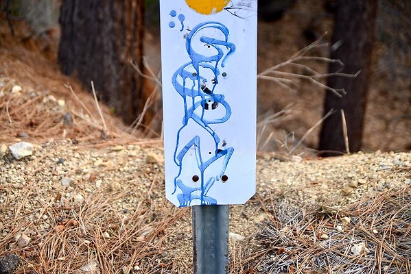 MT PINOS RD Mile 7.29..7