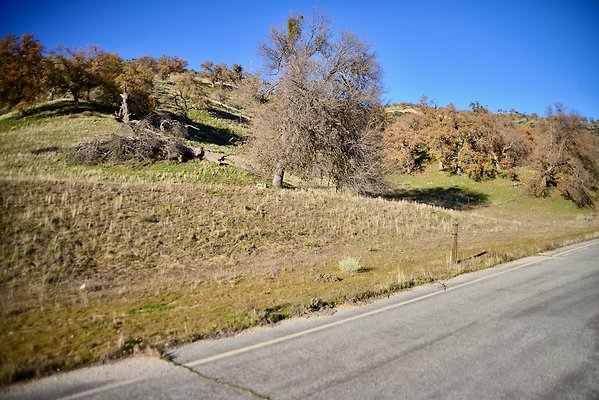 Beartrap Rd Split Beartrap Rd Split