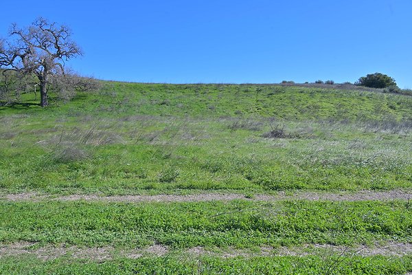 BIG SKY - SCOUTED.150